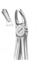  Fig. 65R upper molars right 